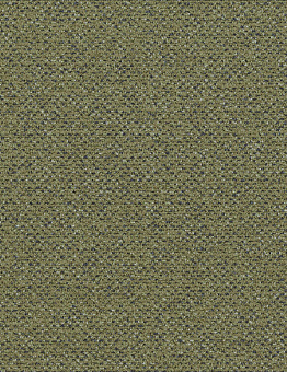 Carpet tiles Solid