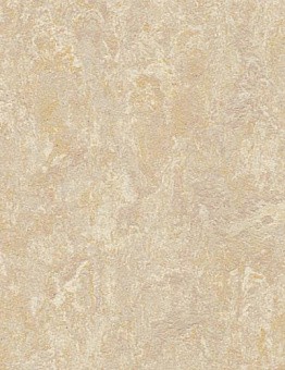 Linoleum Marmoleum Real Of 2.00