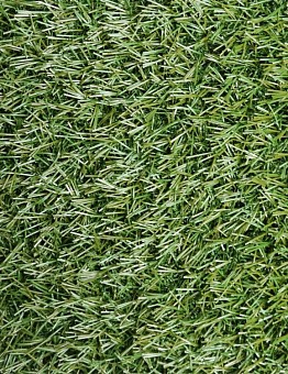 Artificial grass Erba Artificial Grass